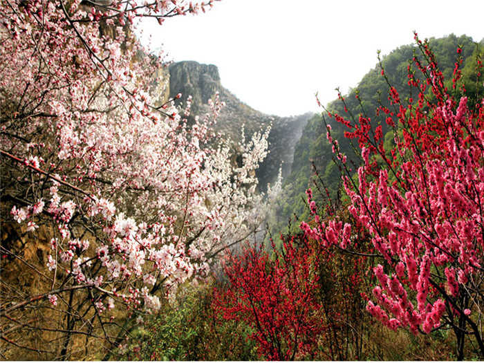 仅55元，享原价60元的【邢台市】九龙峡景区门票，内含卧虎山，三星山，藏龙峡，老龙潭著名景区。