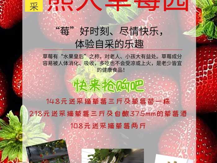 仅148元即可抢购门市价200元的【重庆】熊大草莓园采摘抢购门票一张，包含：有机巧克力草莓三斤、草莓苗一株