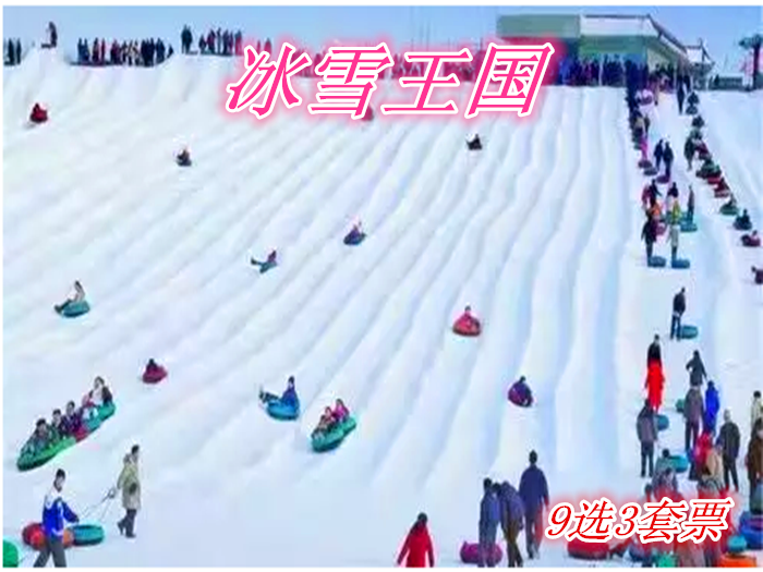 仅36元就享受60元的【运城市】冰雪王国9选3套票一张含：大蓝鲸30元/次超级动力弹跳床30元/次雪上飞碟30元/45分钟雪地摩托20元/两圈马拉雪橇20元/两圈动漫馆20元/人/次悠波球10元