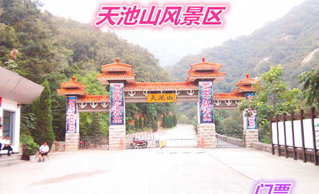 仅41元就享受45元的【嵩县】天池山风景区门票一张，含：景区有天池、飞来石、玉女溪、二郎沟、韩王墓五大观光区。 