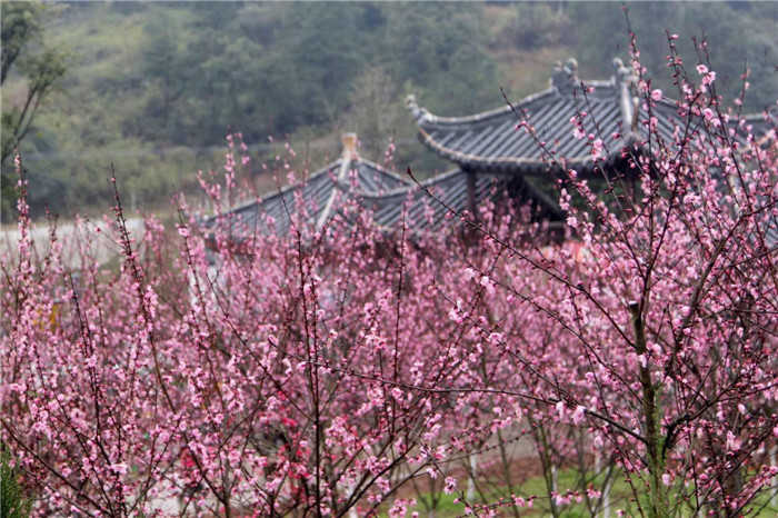 仅35元享受40元的【武汉】姚家山风景区儿童票，需提前一天购买。姚家山景区集生态山水旅游、红色人文旅游资源于一体，按国家AAAA级旅游风景区标准精心规划，武汉抗战第一村、湿地旅游第一谷”之美誉。