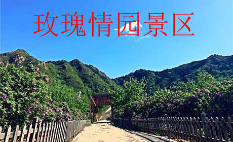 仅40元享原价50元【密云区】玫瑰情园门票，含：门票一张，景区充分尊重自然美，结合自然地形，在山坡丘陵上依势而种，打造空中花园。