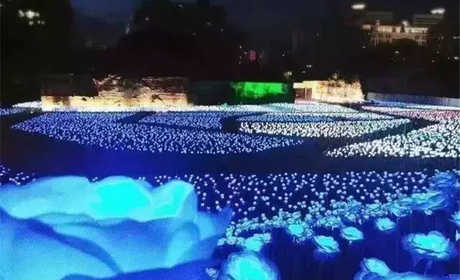 仅15元，享原价20元【丽水市】玫瑰花海灯光节儿童门票
