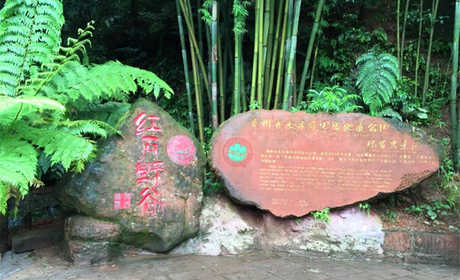 仅25就享受原价30元的【遵义】红石野谷景区门票单人票一张。红石野谷景区位于赤水市大同古镇华平河畔，距离市区16公里，森林覆盖率达95%以上。