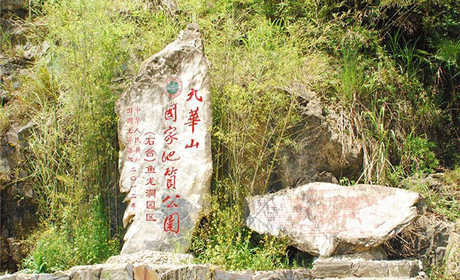 仅60元就享受80元的【石台县】鱼龙洞景区门票一张，该洞全长5000余米，有东海、南海、北海、西海“四海”，及莲花宫、月宫、庆喜宫、鲤鱼宫、玉寝宫、白鳝宫、点将台、犀牛宫、藏乐宫、天宫、聚宝宫“