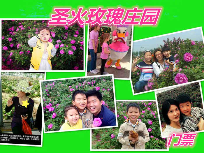 仅48元就享受60元的【衡水市】圣火玫瑰庄园门票一张，含：可赠送2斤玫瑰花2瓶玫瑰酱，目前培育出了康达玫瑰1号、2号、3号、5号新品种，计划在2017年进行康达玫瑰科技成果鉴定、植物新品种权保护申请。