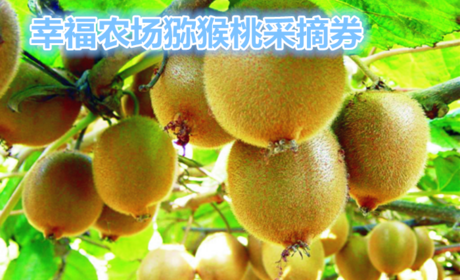 仅需9.9元，享受原价20元的幸福农场猕猴桃采摘券一张，园区内免费品尝；1.2米以下儿童免费，1.2米以上同成人。
