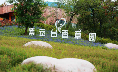 仅25元，享原价30元的【海淀】紫云台香草园成人票；香草园整体占地面积约200亩，其中薰衣草观景园占地面积达40亩。园区内的丘林地形使整个香草园呈现缓缓上升的态势。