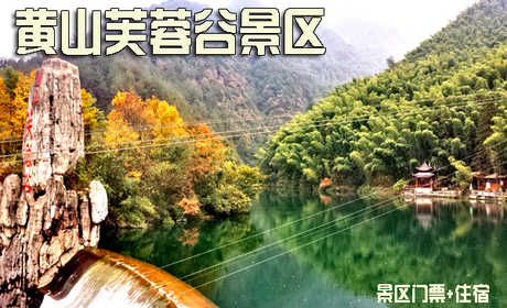 仅205元，享原价233元的黄山芙蓉谷景区门票+住宿。含景区门票、标准间/大床房2选1住宿，黄山芙蓉谷AAAA景区。美妙的水景幻境，充满着青春神韵，故又称“春之谷”！