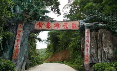 仅95元！即可购买原价168元平果鸳鸯滩漂流景区成人票；【百色市】藤缠树绕千番景、江回路转鸳鸯漂。“藤缠树绕千番景、江回路转九重天”就是鸳鸯滩最为真实的写照。