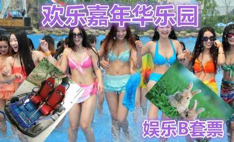 仅需88元享受145元【北京】欢乐年华游乐园娱乐B套票，含：智能水果靶枪、卡丁车1圈、观光小火车、动物园、智能倒靶枪、森林迷宫。
