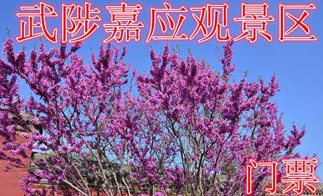仅需58.8元，即可享受原价80元的【武陟县】嘉应观景区双人门票一张。