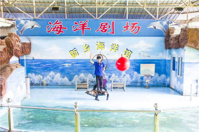 仅25元享原价30元【新乡市】人民公园海洋馆学生票一张。海底隧道、人鲨共舞、美人鱼表演、南美海狮表演、西双版纳鸟艺表演、淡水鱼隧道、海洋生物展示、海底景观圆柱鱼缸等多个景区。
