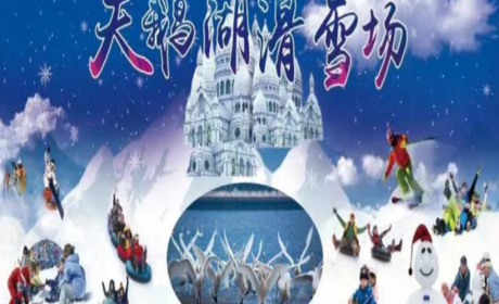 仅需21.8元，即可享受原价30元【三门峡】文博城天鹅湖滑雪场学生票一张。