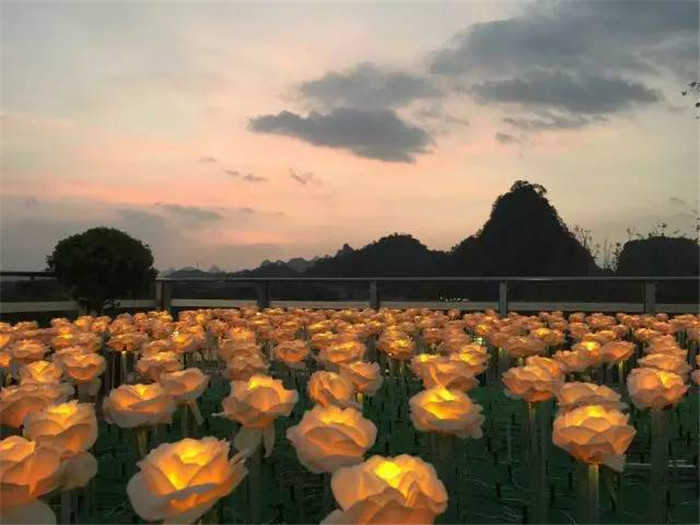 仅25元，享原价30元【丽水市】玫瑰花海灯光节成人门票