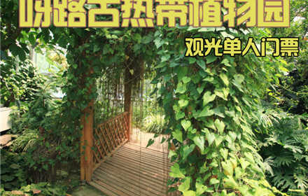 仅36元，享价值60元的【大兴】呀路古热带植物园观光单人门票一张，包含：单人门票+导游讲解。无需预约，观赏热带植物奇景，呼吸自然纯净空气，给自己的生活加加氧！